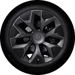 Rines Machina 22'